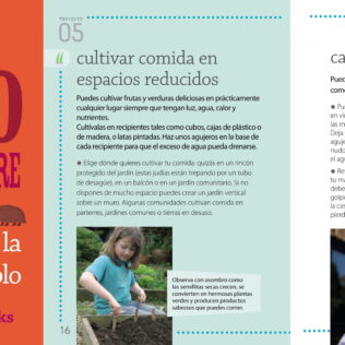 El libro de la ciudad silvestre  – Jo Schofield y Fiona Danks
