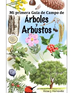 Mi primera Guía de Campo de Árboles y Arbustos – Tundra nº05