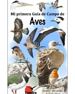 Mi primera Guía de Campo de Aves – Tundra nº01