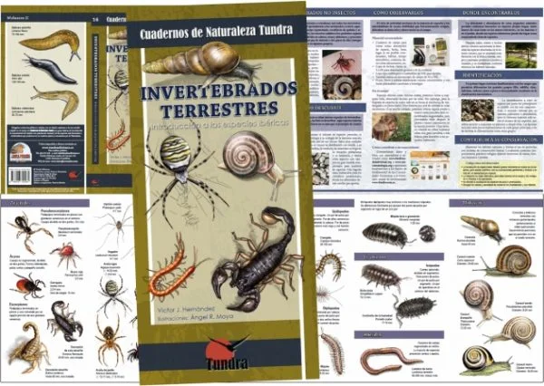 Cuadernos de Naturaleza. Invertebrados. Desplegado