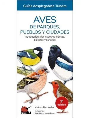 Guías desplegables Tundra nº13 – Aves de parques, pueblos y ciudades