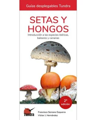 Guías desplegables Tundra nº05 – Setas y hongos