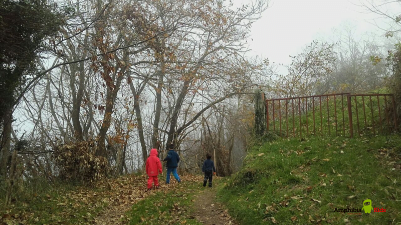 En este momento estás viendo Riesgos de NO salir a jugar en invierno