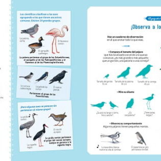El libro de los pájaros