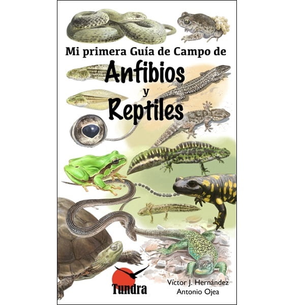 Guia anfibios y reptiles niños