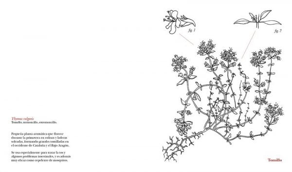 Cuaderno para colorear - Herbarius - Imagen 4