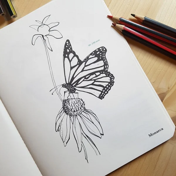 Cuaderno para colorear mariposas - Suspirium - Amphibia Kids