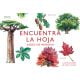 Juego de emparejar & Memory – Encuentra la hoja