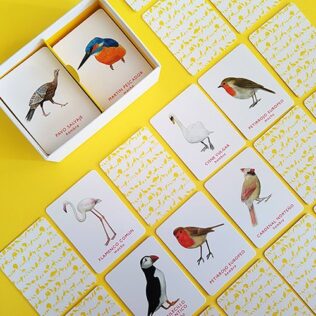 Juego de emparejar & Memory – Un par de aves