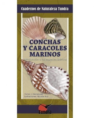 Cuadernos de Naturaleza Tundra nº18 – Conchas y caracoles marinos
