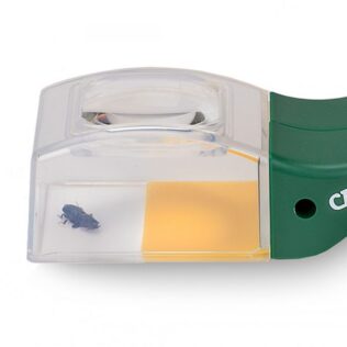 Atrapa insectos con lupa 5x – BUGVIEW – Carson®