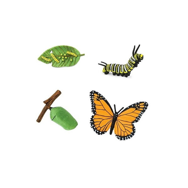 Figuras miniatura ciclo vida mariposa monarca