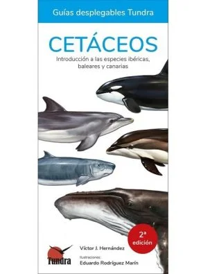 Guías desplegables Tundra nº11 – Cetáceos