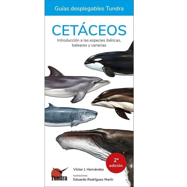 guía desplegable tundra cetáceos