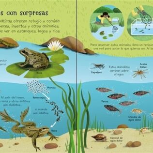 Mi primer libro para disfrutar al aire libre. Usborne
