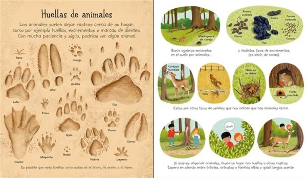 Mi primer libro para disfrutar al aire libre. Usborne - Imagen 3