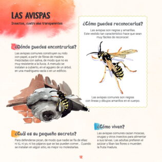 Descubro los bichos y aprendo a reconocerlos. Algar