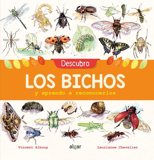 Libro niños insectos
