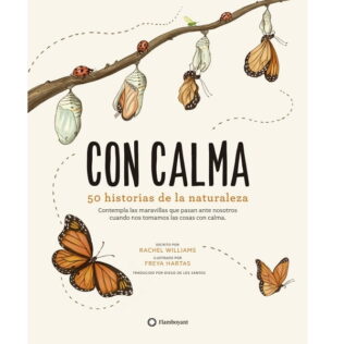 Con calma – Rachel Williams
