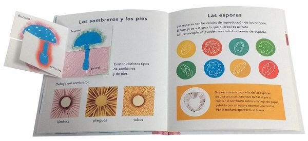 Maravillas de la Naturaleza: la seta - Bernadette Gervais (cast/cat) - Imagen 4