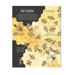 Mariposas y otros animalitos. Usborne
