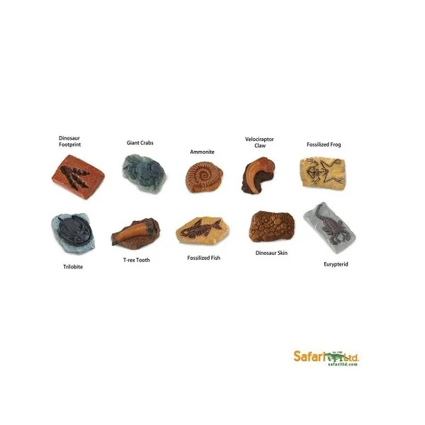 Rocas, minerales y gemas - Amphibia Kids