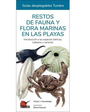 Guías desplegables Tundra nº49 – Restos de fauna y flora marinas en las playas