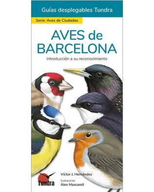 guia para la iniciación en la observación e identificación de las aves más comunes en la ciudad de BARCELONA