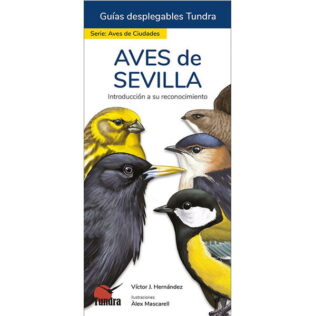 guia para la iniciación en la observación e identificación de las aves más comunes en la ciudad de SEVILLA