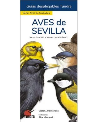 guia para la iniciación en la observación e identificación de las aves más comunes en la ciudad de SEVILLA