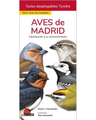 Guías desplegables Tundra nº02 – Aves de Madrid