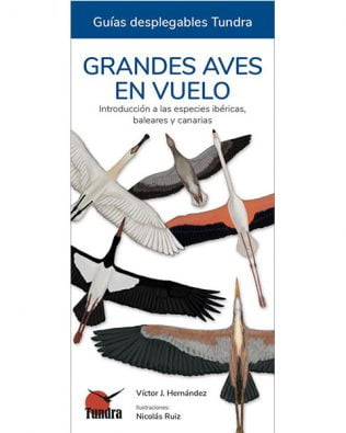 Guías desplegables Tundra nº40 – Grandes aves en vuelo