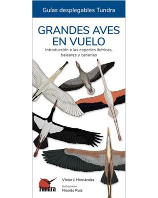 Guías desplegables Tundra nº40 – Grandes aves en vuelo