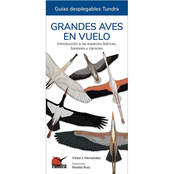 guía de bolsillo desplegable TUNDRA para la iniciación de la observación de grandes aves en vuelo en la península ibérica, baleares y canarias.