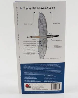 Guías desplegables Tundra nº40 – Grandes aves en vuelo