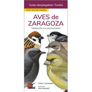 guia para la iniciación en la observación e identificación de las aves más comunes en la ciudad de Zaragoza