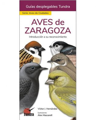 Guías desplegables Tundra nº04 – Aves de Zaragoza