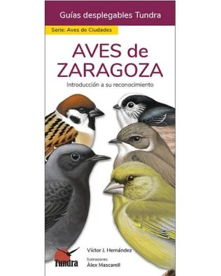 guia para la iniciación en la observación e identificación de las aves más comunes en la ciudad de Zaragoza