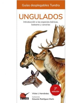 Guías desplegables Tundra nº10: Ungulados