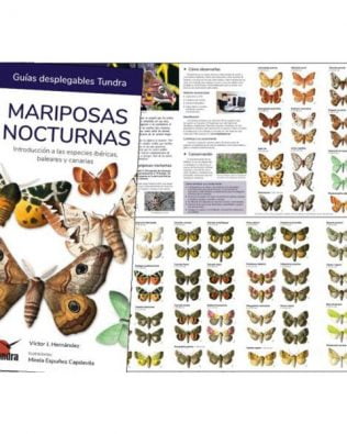 Guías desplegables Tundra nº35 – Mariposas nocturnas