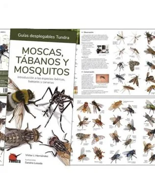 Guías desplegables Tundra nº51 – Moscas, tábanos y mosquitos