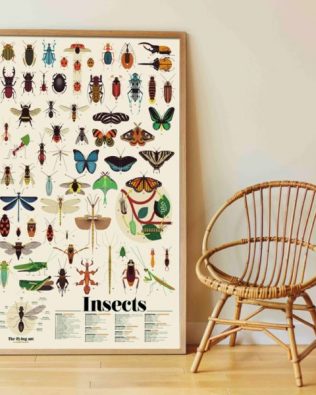 Gran póster de pegatinas “Insectos” – Poppik