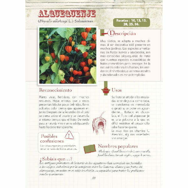 libro de recetas con plantas silvestres
