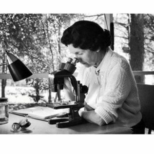 Bajo el viento oceánico – Rachel Carson