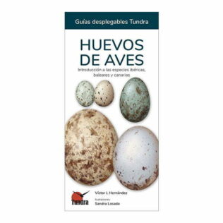 Guías desplegables Tundra nº31 – Huevos de aves