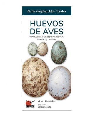 Guías desplegables Tundra nº31 – Huevos de aves