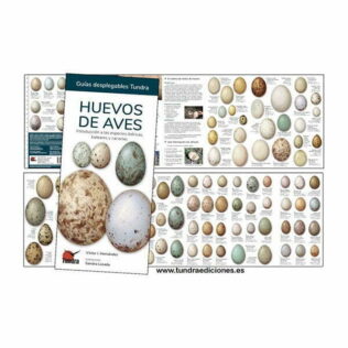 Guías desplegables Tundra nº31 – Huevos de aves