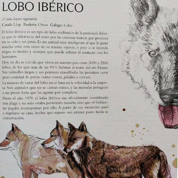 este libro es un bestiario de la fauna que habita la península ibérica. El gran libro de la fauna española