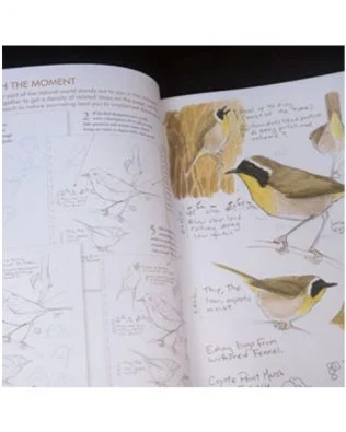 Guía de observación y dibujo – Diario ilustrado de la naturaleza