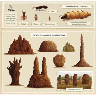 Construcciones animales – Emilia Dziubak